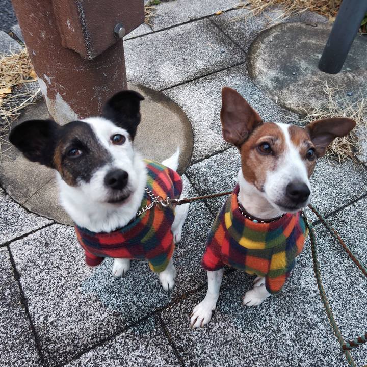 6e34eaa4 1c48 48b9 b403 cb17c9776490 1738532897907