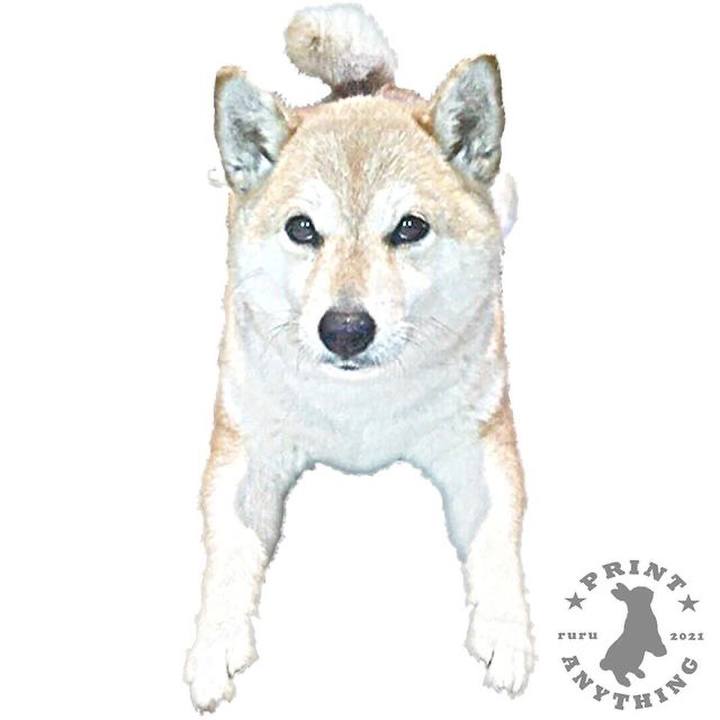 6e34f681 1c84 435e 8835 d0b1c15f5fb4 1630995081452