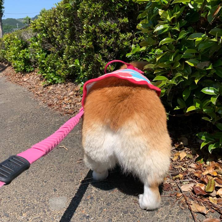 6e350553 2ee4 45e9 8161 03945355ae11 1683768535756