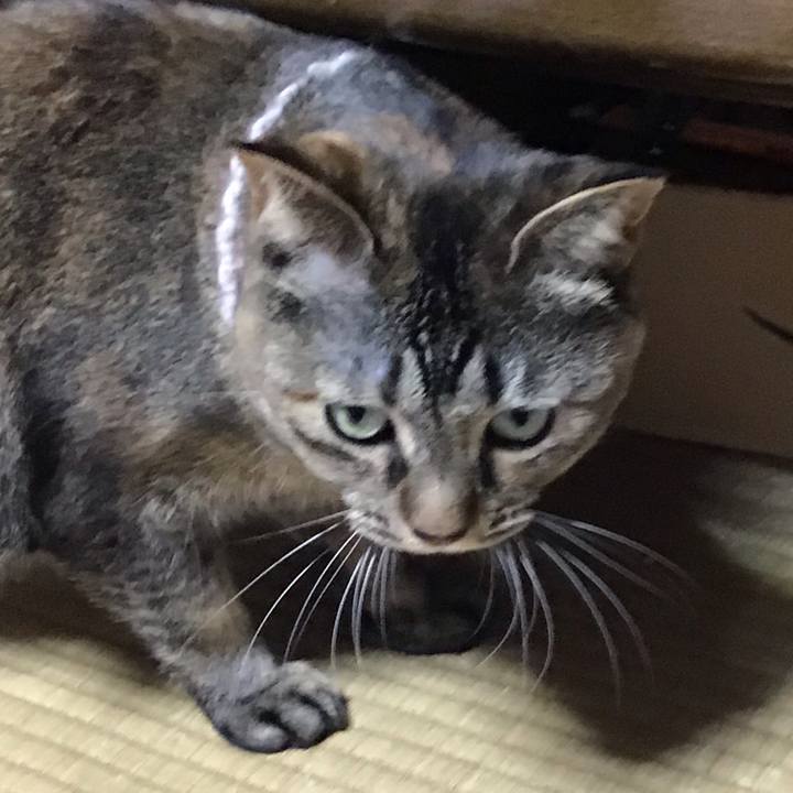 6e352acc 9045 47eb a3a2 dfa3ce86ef5e 1674047276495