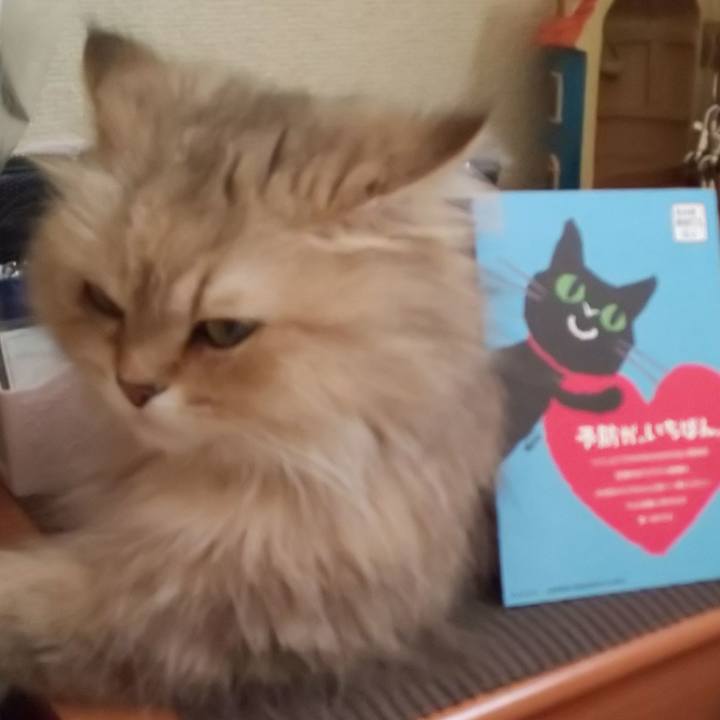 6e353f13 e0f2 447a b921 ccb4e50ded12 1621999286906