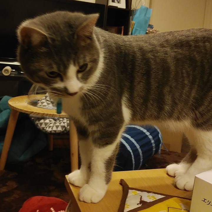 6e35ab48 344e 4a3f 8275 65a211937e5d 1581426847296