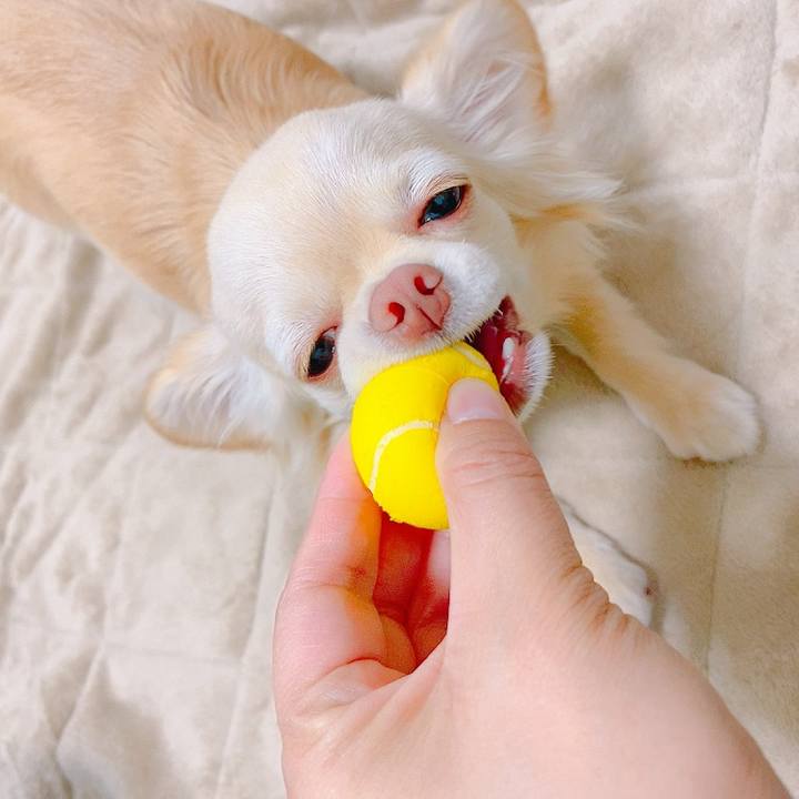 6e35b7a0 5b8c 4633 9d45 9bdad37e8510 1620557091226