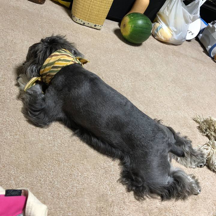 6e35c620 b94b 4f01 a291 e7d5f4898793 1533977728950