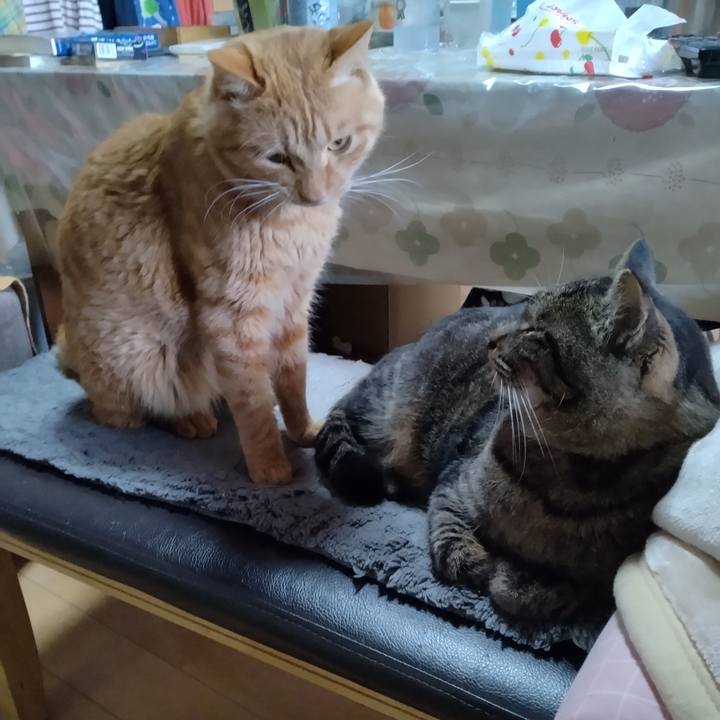 6e35e0dc eb5e 41d8 9588 9492c36d771e 1671082309046