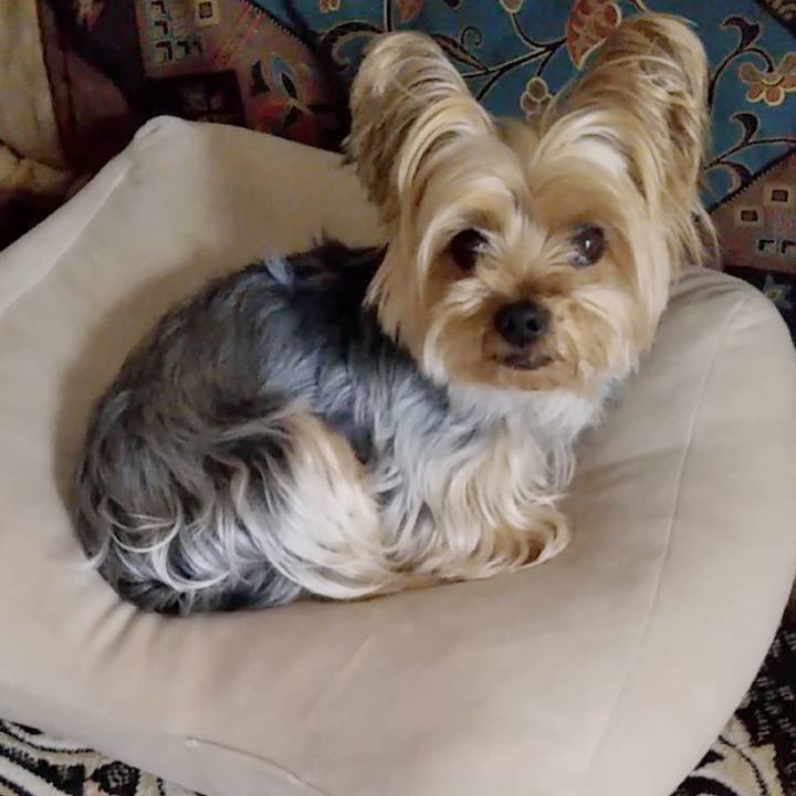 6e35e1df 7543 4ea6 894b abc75d6beec6 1650160910098