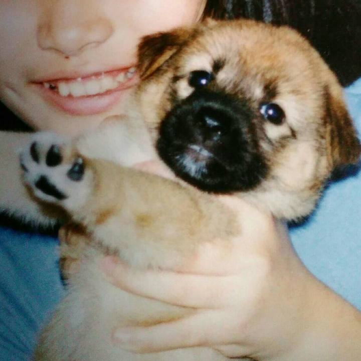 6e35f2e7 af7c 4ea1 bcf3 c787c6a600b3 1567211595143