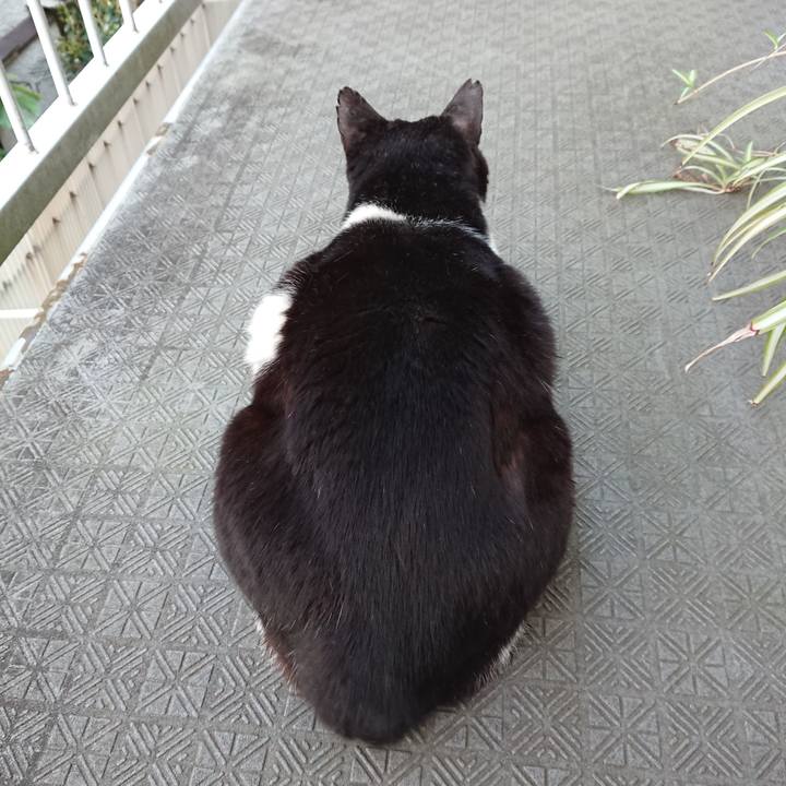 6e3627af 13fb 4ffc 82aa 147af4c10153 1588149504893