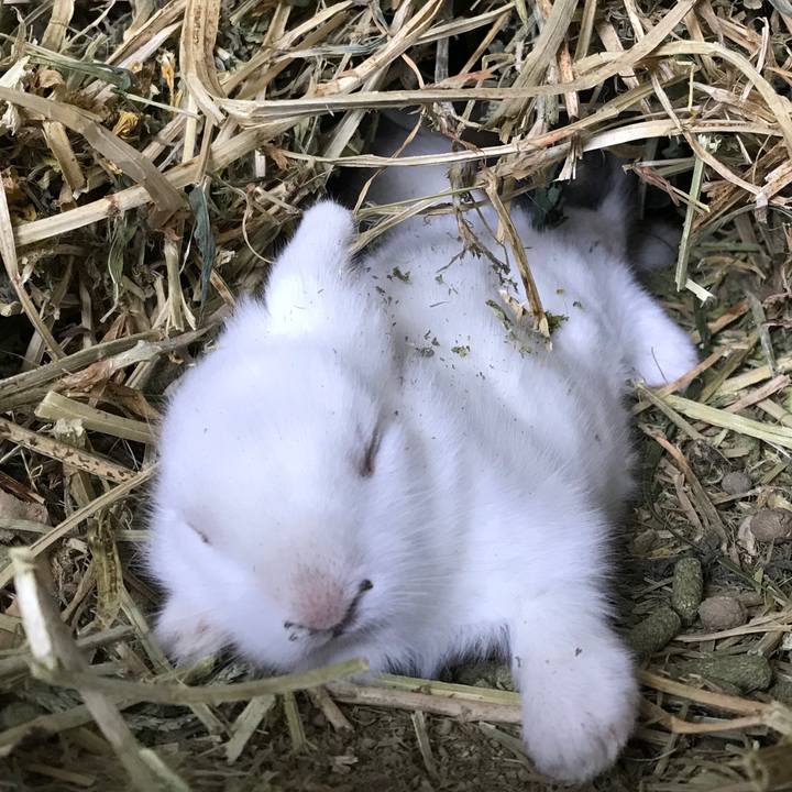 6e368dcf 0333 4d99 bd7d 9cee6211f2e6 1531664007247