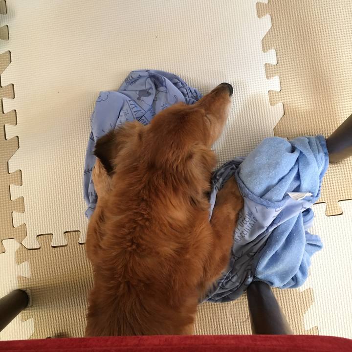 6e36963d 9f43 4151 8fae 606a463c4f14 1626435939675