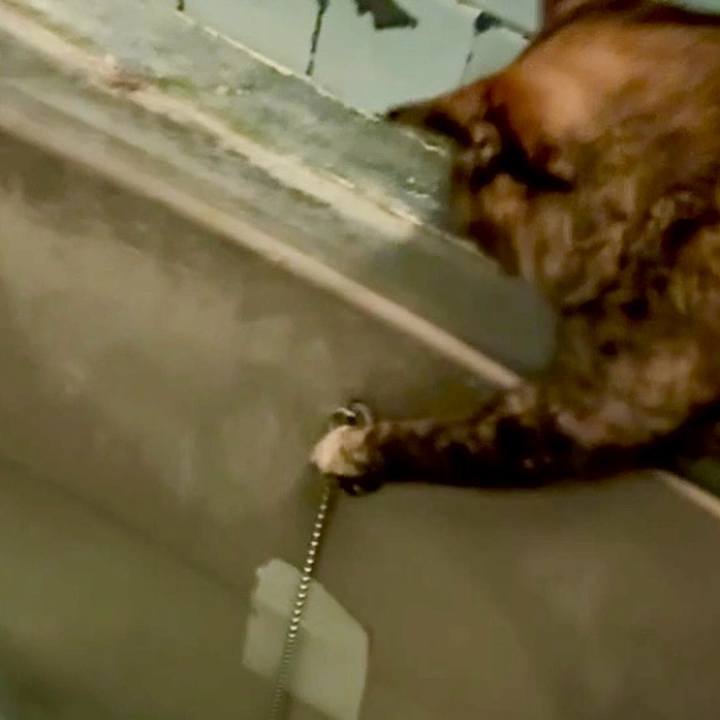 6e36c4ab 3835 4217 9a50 2f1939e487c2 1749241011847