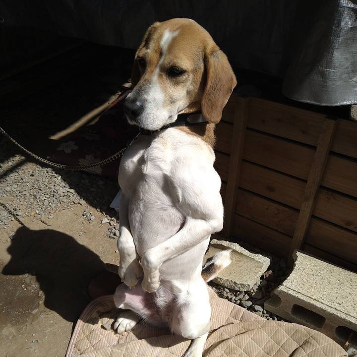 6e36e197 c1d6 496c ad4f 96f22588c2f1 1650613938835