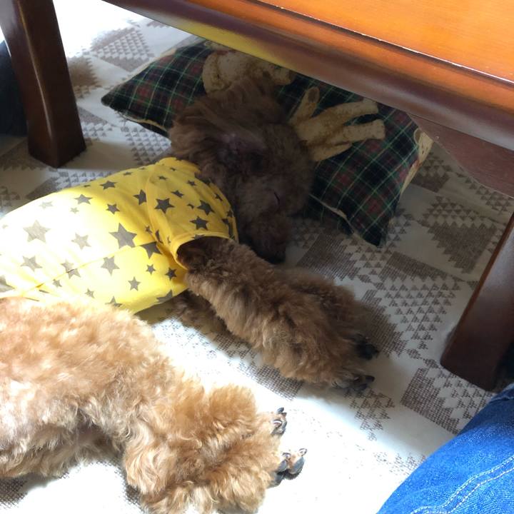 6e36f238 4c79 4ea5 9db0 08d713fa8f78 1569232062886