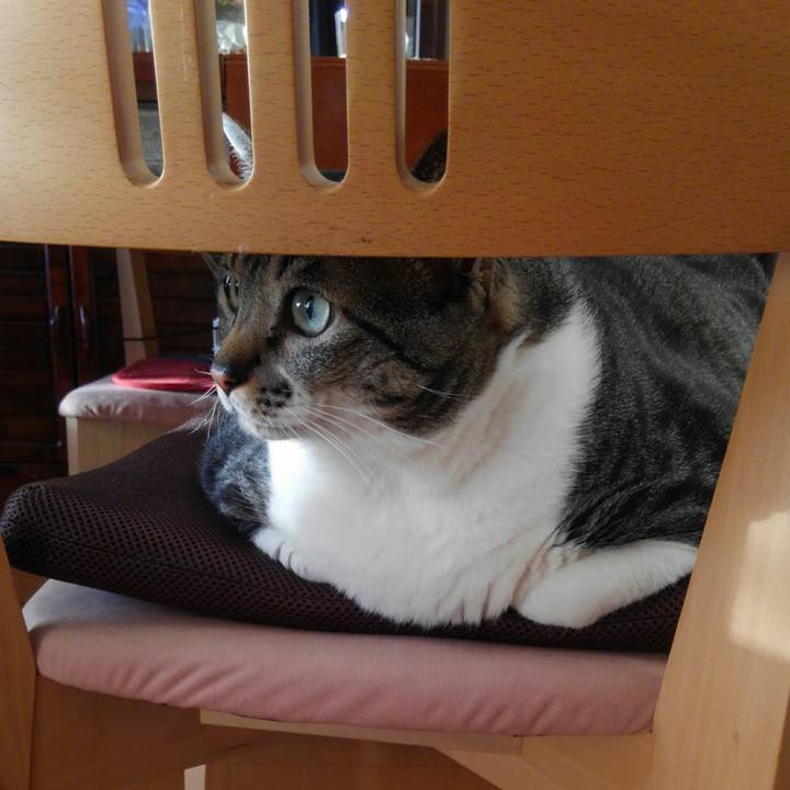 6e370465 0c99 4e80 8129 e4826b9953e4 1518041828164