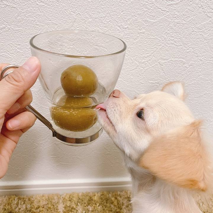 6e371999 2d58 4457 af82 1509430cded9 1593069903990