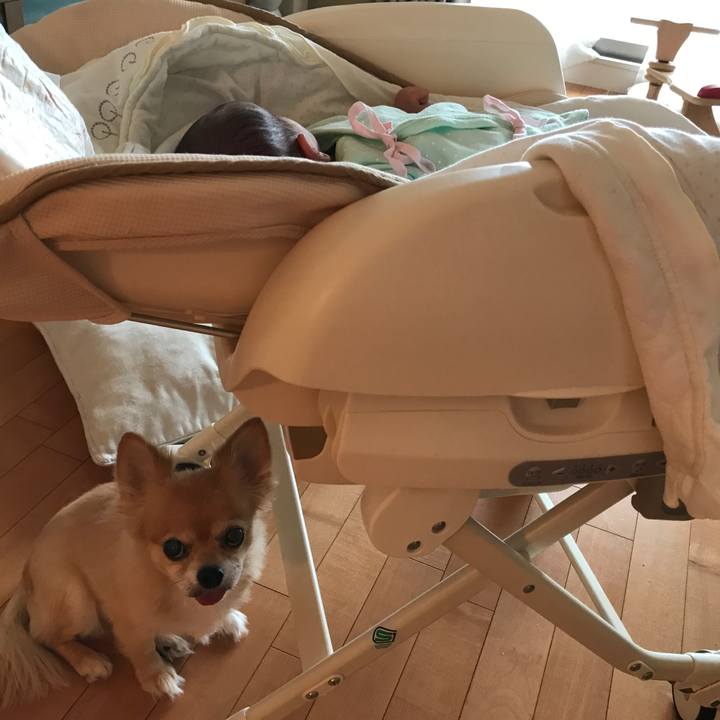 6e3739f0 7d62 4ea8 b720 757fcf1a794e 1508733294062