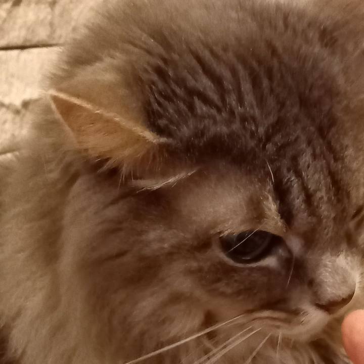 6e373b04 f543 4566 8c07 d8c079fd02ec 1636166958905