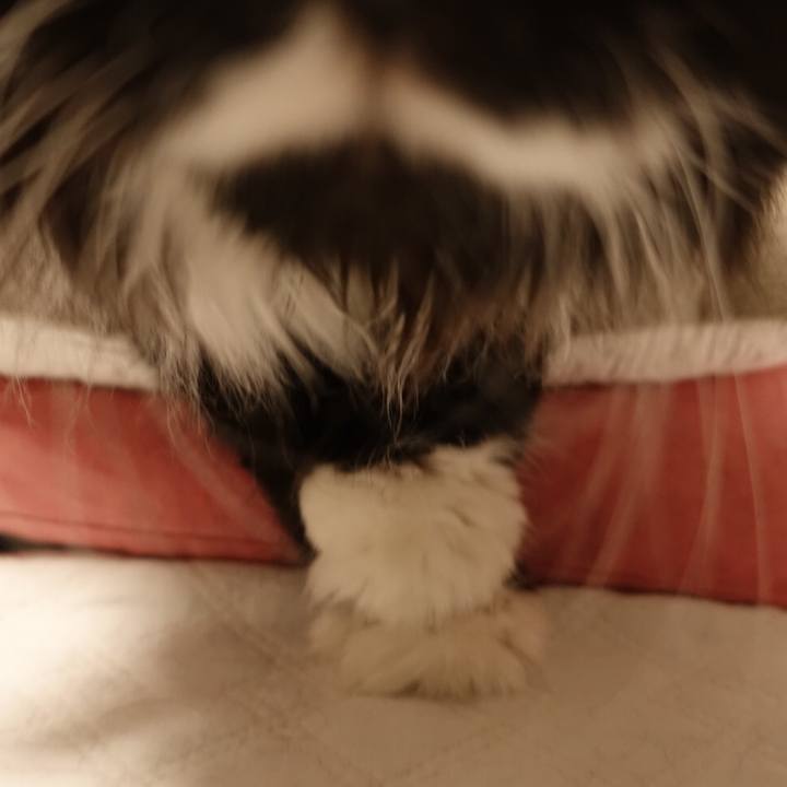 6e3752cc dad3 4b80 bf8a d354492e04f1 1528335869278