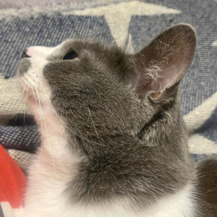 6e3772ea 958a 40a5 b8d6 a39d83ca2db8 1648643575426