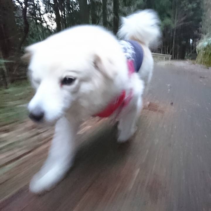 6e37e4a6 cbd9 420a 8e15 e7992567569e 1549371224266