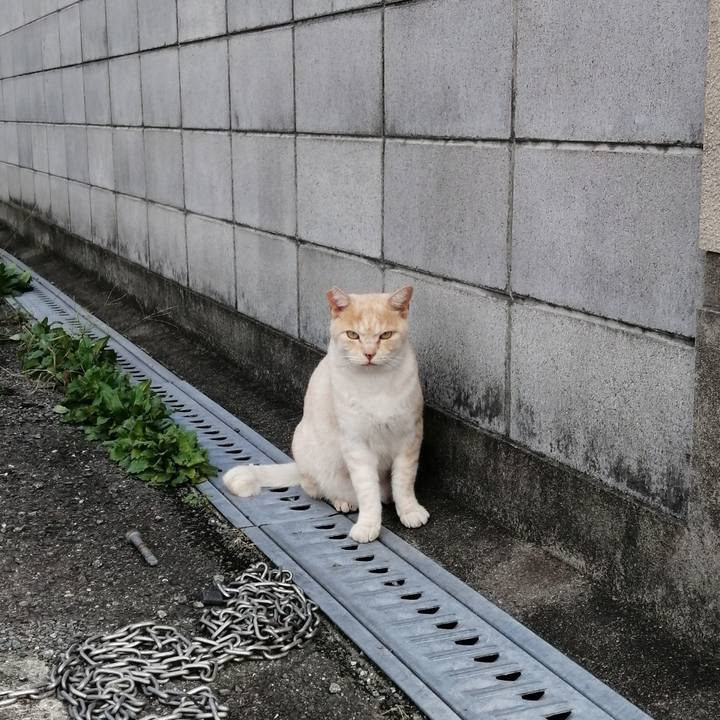 6e38015e 84c6 4bbf b4c5 75c74ef2831a 1573213983423