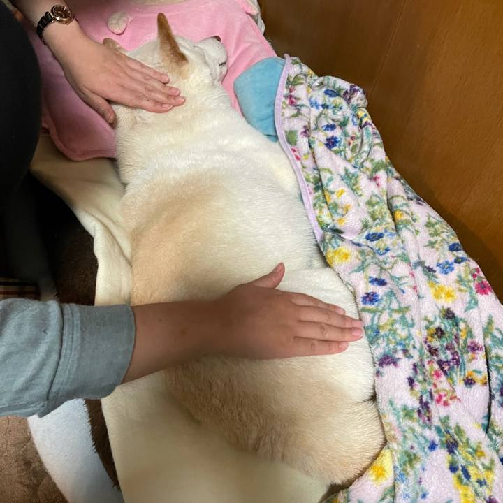 6e380317 244f 4e77 9d4e ad2106cebeb3 1635770239005