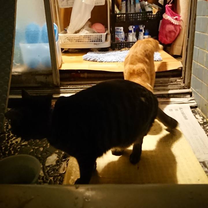 6e380a0e 32e1 4c92 8240 0a6350a5e8e4 1643110470255