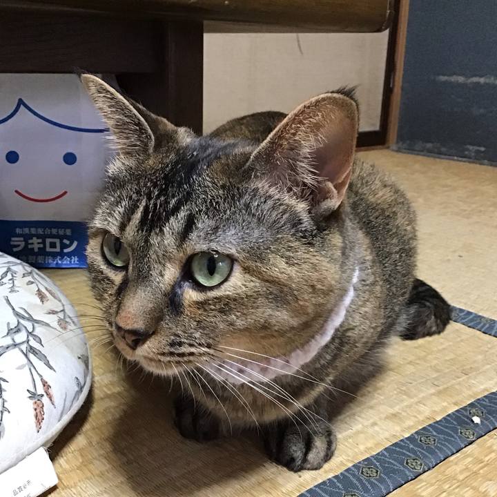 6e381926 305a 447b bdf0 9a26a04a3800 1756284091433