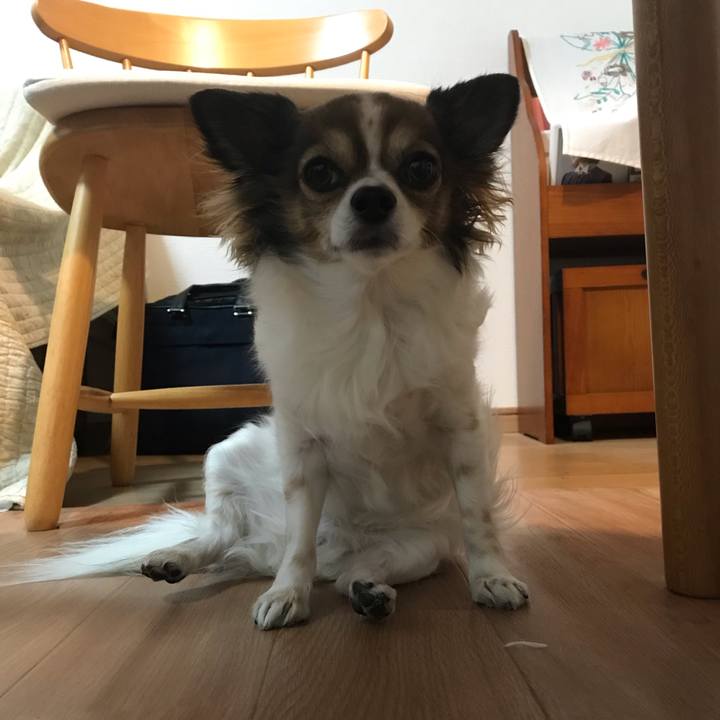 6e381ca0 251f 45c2 be19 8a8d3f4f740a 1546606445776