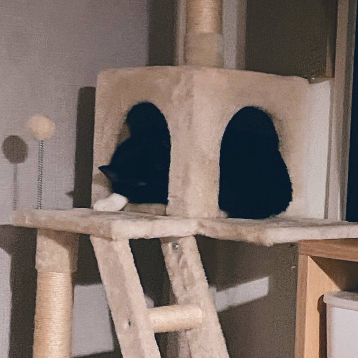 6e38266f 2296 450d 9729 7c4af7c1bed1 1657756913174