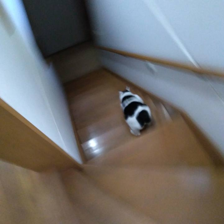 6e387660 cbe8 4dcc 9b07 2620e73894f5 1524392950900