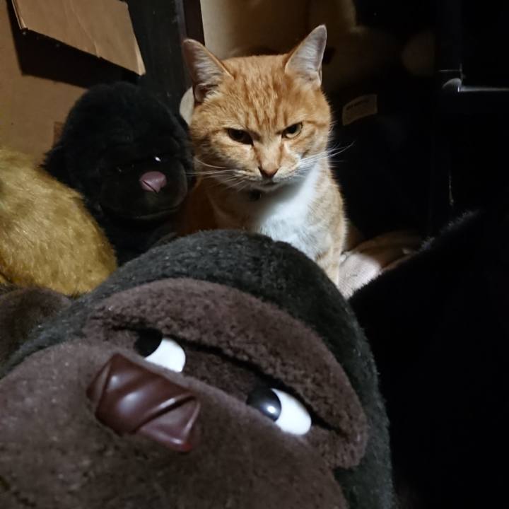 6e387c79 9dc3 41d8 ab5c 05064a046cb1 1608029057138