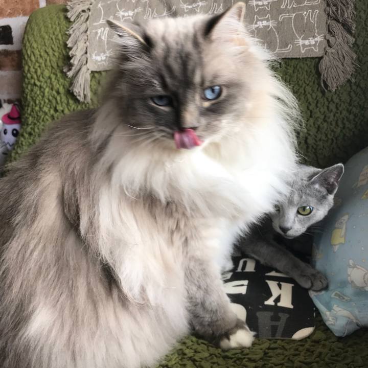 6e3898a0 6489 4a01 9a7d a3ef937c99f7 1525270274892