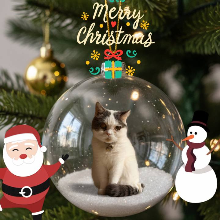 6e38c446 5c46 45f3 bf09 b1aed859d22e 1766659669624