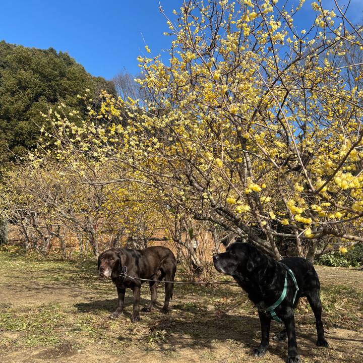 6e38de0e 3fec 4f21 8226 d220aba236d7 1769431354413