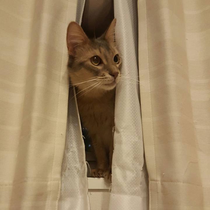 6e390898 3693 435e bb6a 46f827597b9b 1528811403092