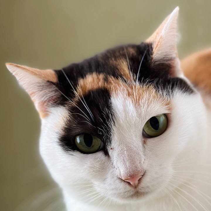 6e393978 ec47 48f9 8e84 038cda8cb09e 1671243291794