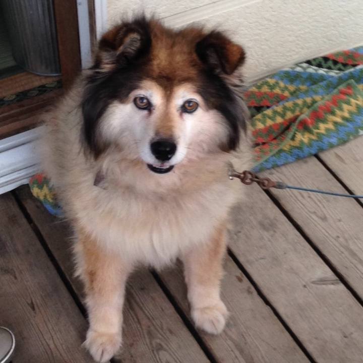 6e393a5f aeee 47ce 9a81 744f2c21ca74 1642845650342