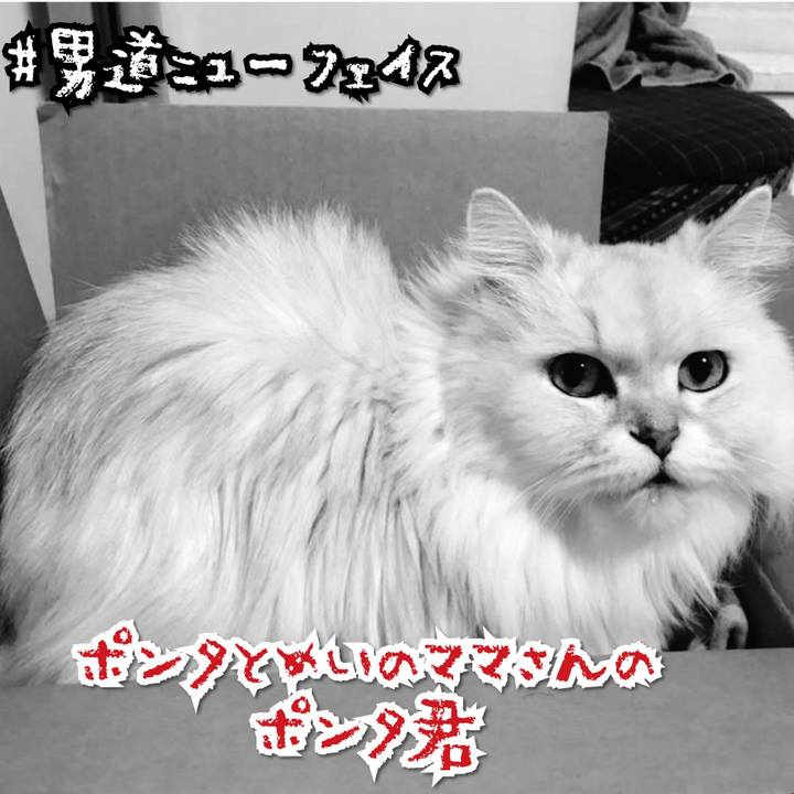 6e3974b4 891c 4ae4 b939 d51f8754c06a 1566993834414