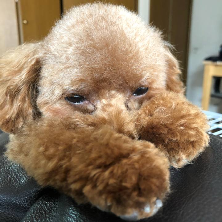 6e39a153 3ca5 4011 a74a eed620a1c1f3 1543112864177