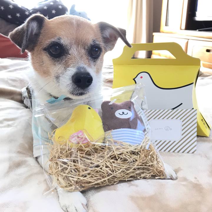 6e39c78f c399 4916 ab7d 85bd860b0718 1553085683307