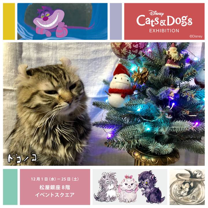 6e3a058e 50b9 4227 b9d5 8c612355f718 1640397005407