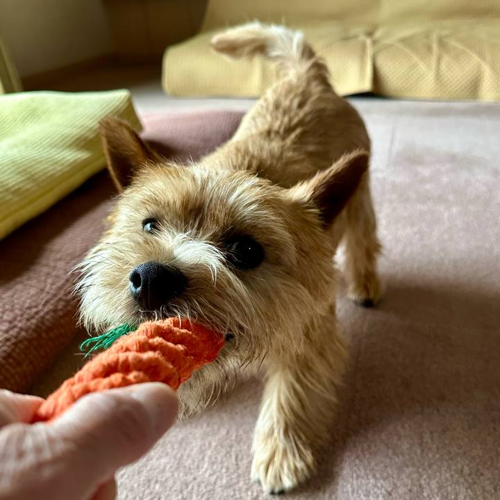 6e3a0741 a27c 4205 bd2e 36cc12006763 1745700611697