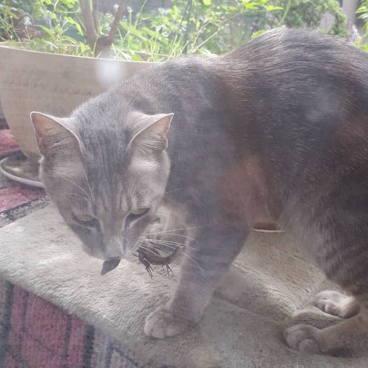 6e3a209a 590b 4fef 95bd 32ca70d7f5d3 1530750398189