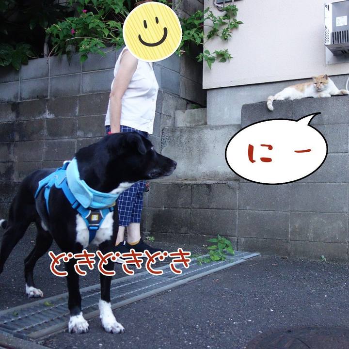 6e3a26e8 7381 4664 84dd 082290288ab7 1627987574562