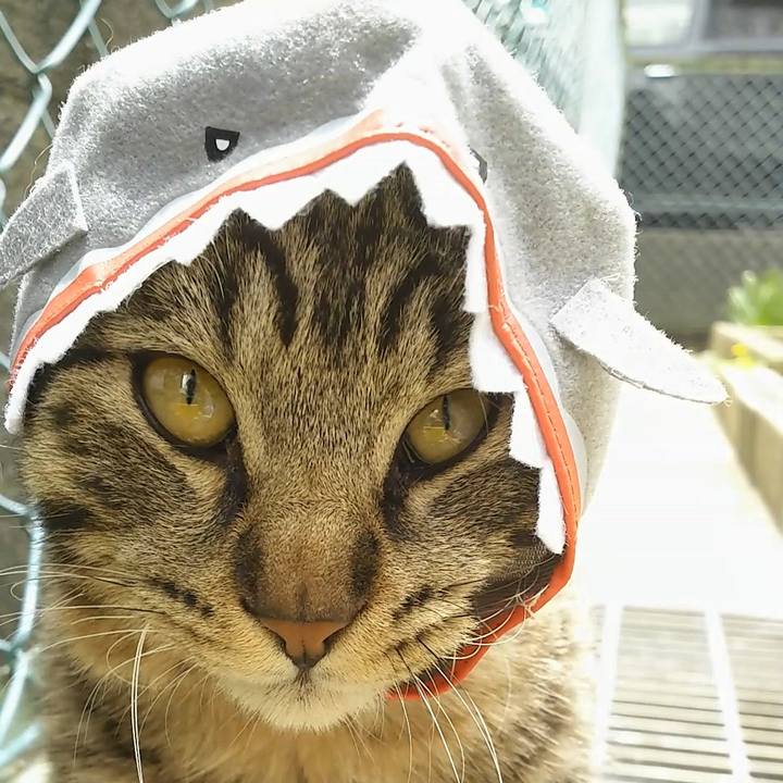 6e3a3fa8 fb54 43e9 8d15 b5aad9e2b526 1556422389423