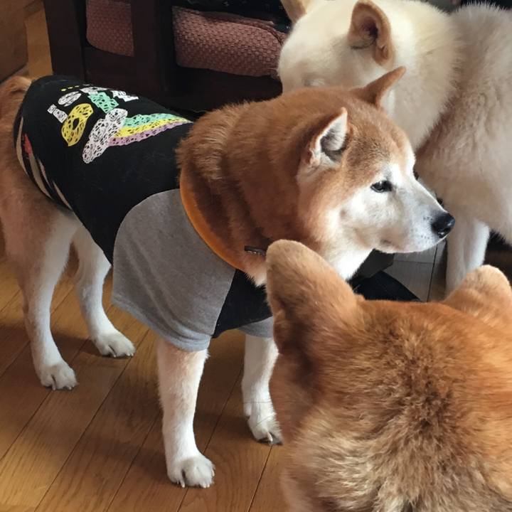 6e3a975a 42eb 4fa8 96dc 16646f22e378 1534895988692