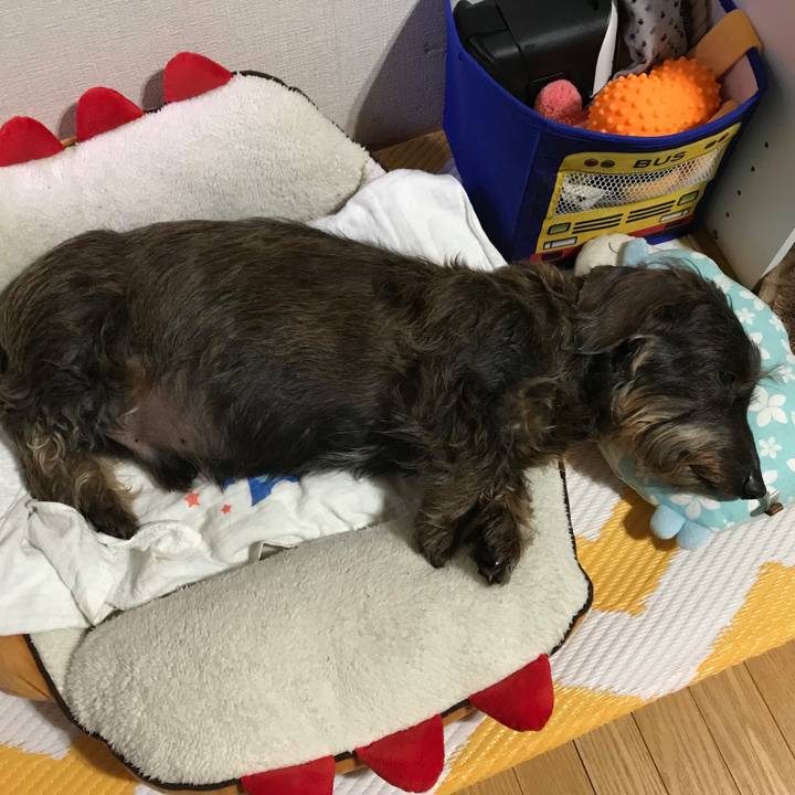 6e3adab0 8c63 41cf b02c c715c6d5a0ba 1525186014994