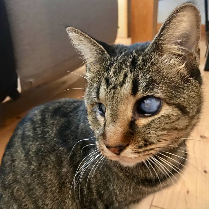 6e3ae38d 6d6d 4e9b 8ca1 b0a0f1fc60ac 1545536392925