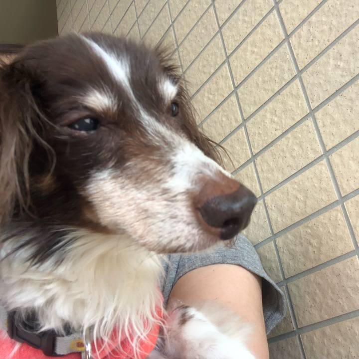 6e3b38c3 0dee 4f58 aec1 27208bbe04e4 1627256764136